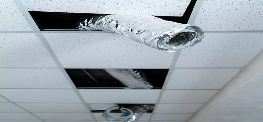 Affordable HVAC Sanitizing After Pest Removal in Midwest City