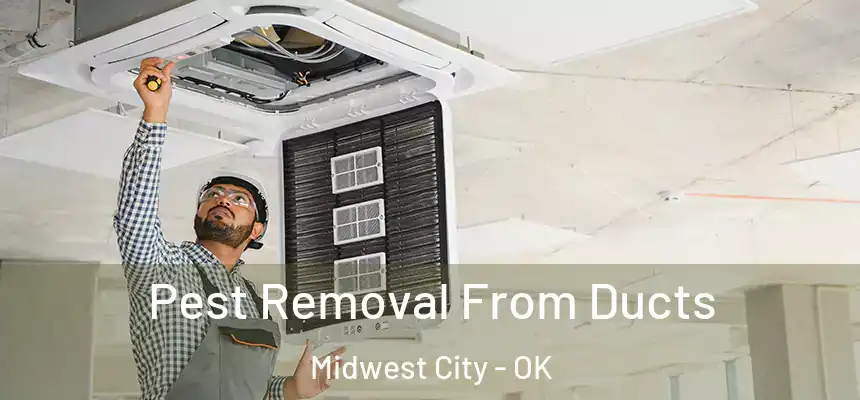  Pest Removal From Ducts Midwest City - OK