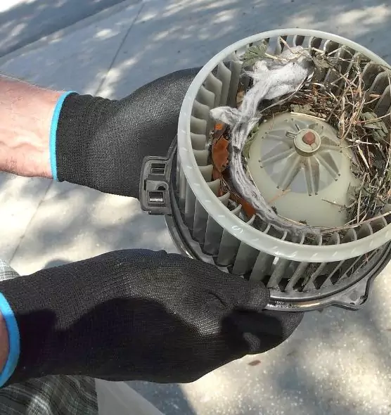 About Air Duct Mice Removal in Midwest City, OK