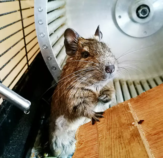 Why Homeowners & Businesses Trust Us Midwest City, OK